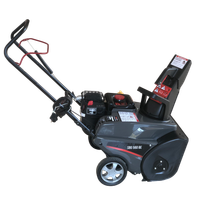 Снегоуборщик бензиновый EVOline SBG 560 BE (с двигателем Briggs&Stratton)