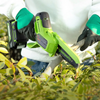 Аккумуляторная бесщеточная цепная пила GREENWORKS GD24CSMNX, 24V, 15см, c 1хАКБ 4Ач и ЗУ